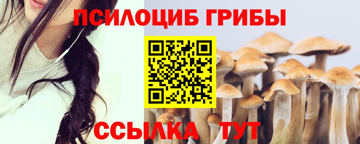 Псилоцибиновые грибы GOLDEN TEACHER Донской